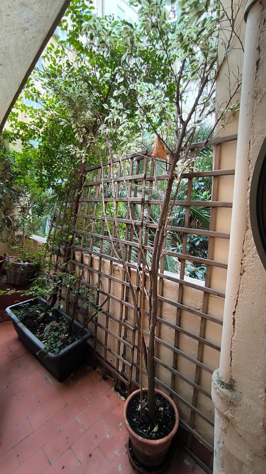 7 Moons B&B Valencia Exterior foto